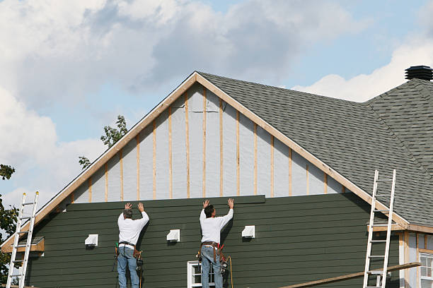 Best Aluminum Siding Installation  in Lake Odessa, MI