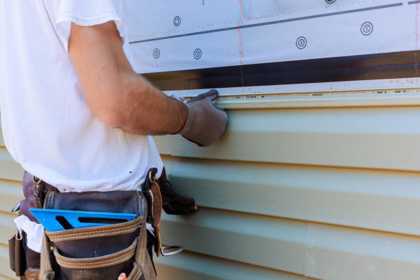 Best Insulated Siding Installation  in Lake Odessa, MI